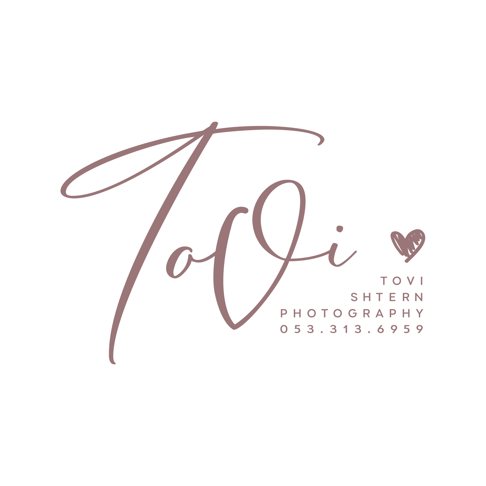 לוגו טובי שטרן copy